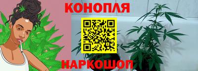 mdpv Новозыбков