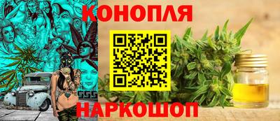 амф Новокубанск